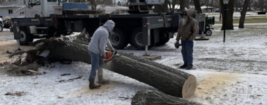 who is responsible for removing a fallen tree