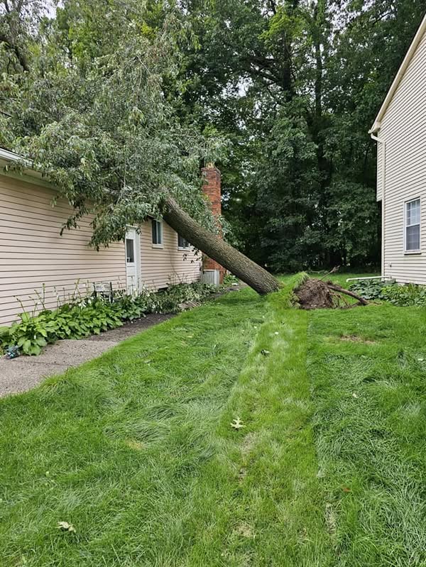 This silver maple threatened the home and overhead utilities.