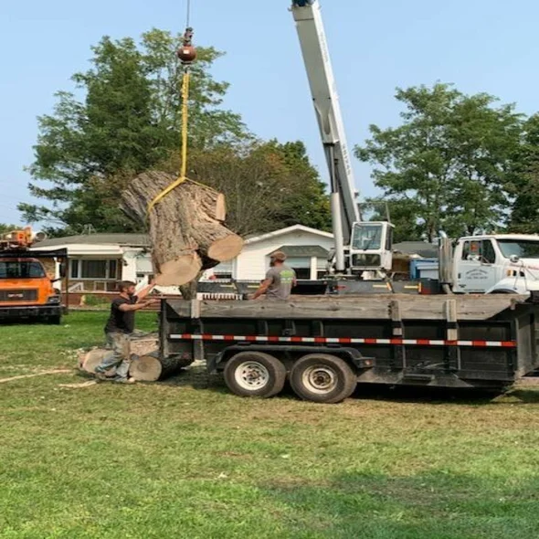 tree-removal-bloomfield-hills-mi